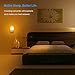 TomCare Salt Lamp, Himalayan Salt Light Glow Hand Carved Natural Crystal Himalayan Night Lights Wall Light UL Approved Wall Plug Decoration Lighting (2)