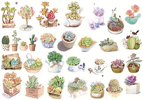 jingyuu Succulent Plants Hand Account Sticker for DIY Scrapbooking Photo Album Notebook Diary (Style 4)