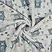 BORITAR Baby Blanket Soft Minky with Double Layer Dotted Backing, Lovely Grey Bear Printed 30 x 40 Inch, Receiving Blankets