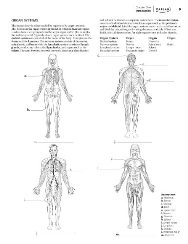 Anatomy Coloring Book – Kaplan – UnwindAndColor