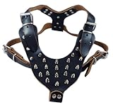 Leather Spikes Dog Harness Large Black 26″-33.5″ Chest, 28 spikes Pitbull, Boxer, My Pet Supplies