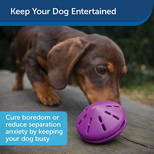 PetSafe Busy Buddy Twist 'n Treat Dispensing Dog Toy - Medium