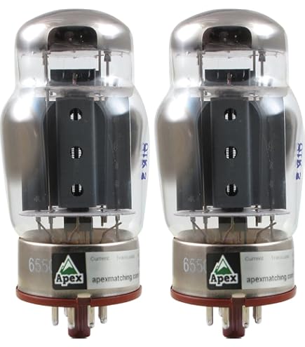 Amazon.com: Pair of Tung-Sol 6550 New Production Power Vacuum Tube