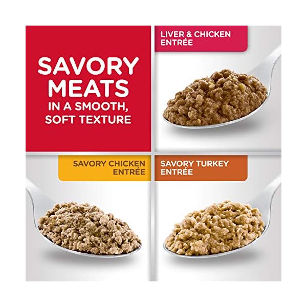 Hill’s Science Diet Wet Cat Food, Adult, Minced Savory Recipe Variety