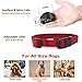 [UPGRADED 2018] No Bark Collar - Best Rechargeable Anti-Barking Shock Control with 5 Levels Automatic Bark Collar for Small Medium Large Dogs Electronic Safe Stop Bark (6+lbs)