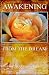 AWAKENING FROM THE DREAM by ARCHANGEL URIEL