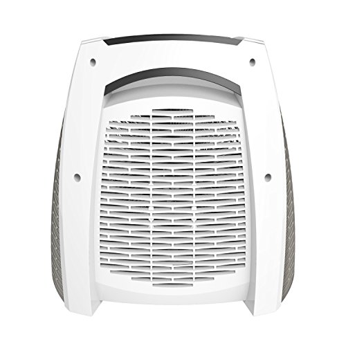 3 Vornado+EH1+0096+43+Automatic+Climate+Control