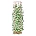 Gardeners Supply Company Large Bean Tower Plant Support | Sturdy Weatherproof Outdoor Beans, Peas & Other Climbing Vegetable Garden Plants Stake | Best for Small Space Garden - 75