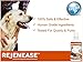 Premium Liquid Glucosamine Hip and Joint Supplement for Dogs - Fast Natural Arthritis Pain Relief and Better Mobility - Extra Strength with Chondroitin MSM and Hyaluronic Acid. Made in USA 32oz. Results in 30 Days or Your