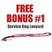 Service Dog Leash with Free Kit - Receive 3 Free Service Dog Bonuses Including: Free Service Dog Collar Tag, Lanyard, and Patch. Medium to Large Size Dog.