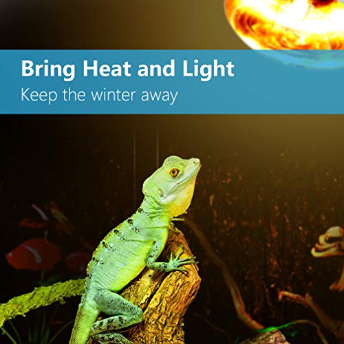 AMZCOOL UVB and UVA Reptile Heat Lamp Bulb Truly Sun-Like Bright Heat for Reptiles, Amphibian and Birds (100 W) - Thumbnail 2