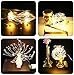 6 Silaba 3 Pack LED Decorative Starburst Fairy Hanging Copper Wire String Lights(Waterproof) with 8 Mode Dimmable Battery Operated Remote Control(Warm White).