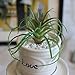 LianLe Artificial Succulent Plants Home Creative Decoration Succulent Flowers