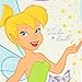 Disney Fairies Girls Tinkerbell Pajamas Size 4T
