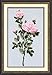 Wandafull Ribbon embroidery Kit Handmade Red Rose (No frame)