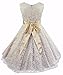 iEFiEL Kids Big Girls V-Neck Lace Flower Dress Graduation Pageant Ball Gown