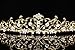 Flower Vine Design Bridal Tiara Crown - Clear Crystals Gold Plating T710