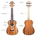 Mugig Glossy Ukulele 23
