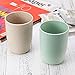 Aestar Multicolor Biodegradable Unbreakable Wheat Straw Water Cup Tumblers 13.5oz Set of 2 for Coffee, Tea, Water, Milk, Juice (L)