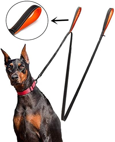 6 Feet Nylon 2 Dog Leash with Double Handles, Heavy Duty with Dual Handles Dog Leashes for Large and Medium Dogs(BLACK)