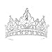 Eseres Pageant Crown Tall Tiaras for Women Wedding Queen Crown Prom Queen