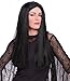 The Addams Family: Morticia Addams Wig for Adults by Rubies, Women's No Size