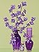 8oz -Almost 15,000 JellyBeadZ Water Bead Gel - Heat Sealed Bag- Water Pearls Gel Beads- Wedding & Event Centerpieces - Purple