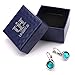 Leverback Dangle Earrings,UHIBROS Stainless Steel Cubic Zirconia Round Drop Earrings
