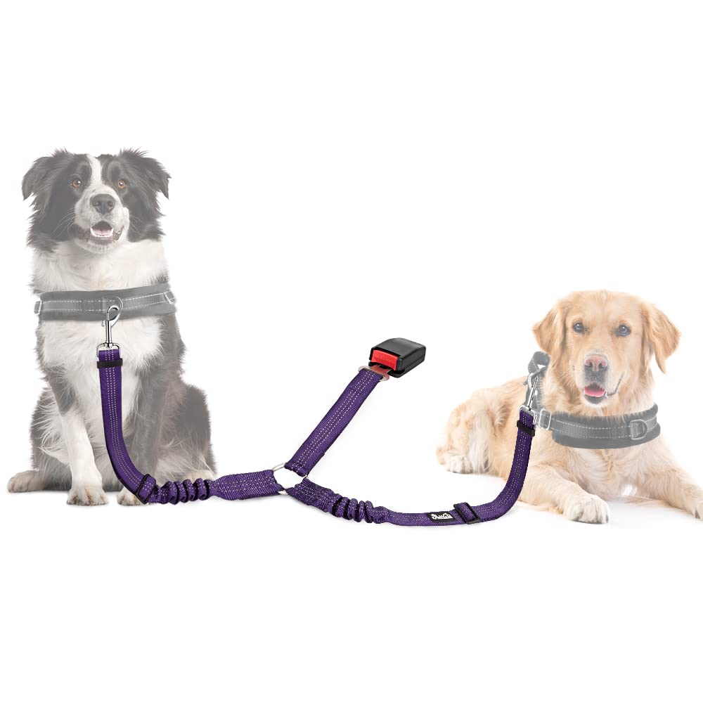 SlowTon Double Dog Seat Belt, Adjustable Elastic Dog Car Harness Seatbelt with Anti-Shock Bungee Buffer, Heavy Duty Reflective Puppy Cars Restraint Pet Safety Belts Clip