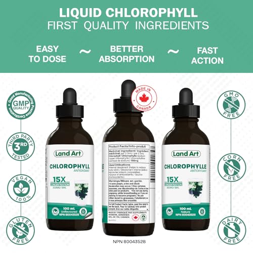 Liquid Chlorophyll Drops Unflavoured 15X Concentrated 100ml – Cold Extracted from Non-GMO Alfalfa - Detox - Alkaline - Natural Body Deodorant – Antioxidant - Made in Canada