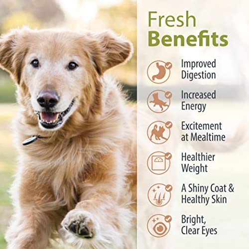 JustFoodForDogs Pantry Fresh Dog Food, Human Grade Beef & Russet Potato