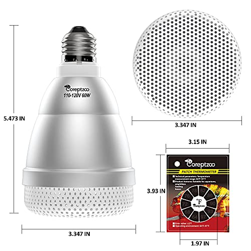 Heat Lamp Bulbs For Chameleons at Michael Eide blog