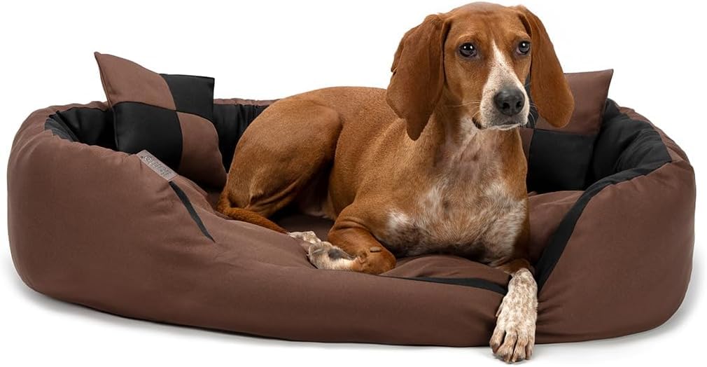 lionto Dog bed 4-in-1 with reversible cushion in Oxford, 85x70 cm, scratch-resistant pet bed with deep entry for cats and dogs, incl. decorative pillow, water-repellent, black/brown