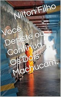 Livro Você Desiste ou Continua. Os Dois Machucam.
