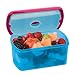 Fit & Fresh Kids' 2-Cup Chilled Containers, Set of 4 Reusable Portion Control Containers with Removable Ice Packs, BPA-Free, Freezer/Microwave/Dishwasher Safe