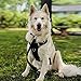 TIANYAO Dog Harness No Pull Reflective Oxford Material Soft Pet Vest Adjustable for Large Dogs Easy Control Harness with Dog Collar (XL)