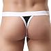 YiZYiF Men's Bulge Pouch Breathable Mesh G-Sting Micro Bikini Underwear (Black, Small)