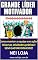 Livro GRANDE LÍDER MOTIVADOR: 40 programas motivacionais sem custos!