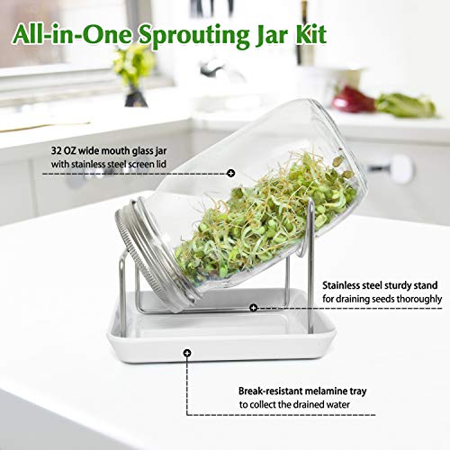 Rocinha Seed Sprouting Jar Kit, 2 Wide Mouth Sprouting Jars with Screen
