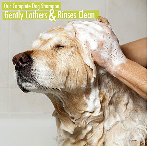 Natural Rapport Dog Shampoo & Conditioner - Complete 5-in-1 Natural Pet Wash - Cleans, Conditions, Deodorizes, Moisturizes & Detangles - Amazingly Fresh Scent that Wipes Out Wet Dog Odor