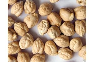 WBUT Chickpeas Plant Seed, (100 Seeds) A.k.a Garbanzo Beans, Gram, Easy to Grow, Organic
