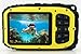Coleman Xtreme C5WP 16.0 MP 33ft Waterproof Digital Camera