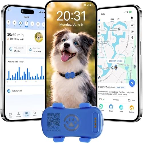 localizador GPSgps Perros Collar Perros Seguimiento satelital en Vivo 4G