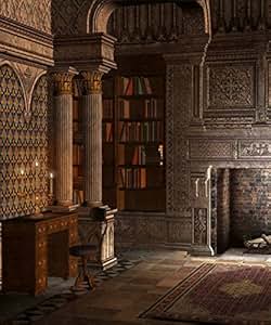 Amazon.com : 8x10 ft Retro Castle Corner Bookshelf Photo