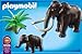 Woolly Mammoth with Baby (C)