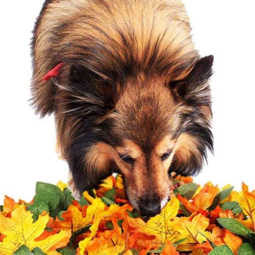 SEnjoyy Dog Training Pad Washable Pet Sniffing Blanket Dog Cat Jungle Leaf Toy Mat Stress Release for Small Pet(Section A)