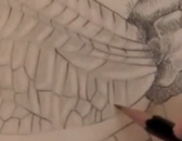 Drawing Pencil Techniques