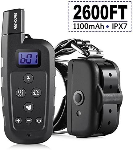 when should you get a female dog fixed