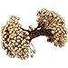BBTO Artificial Holly Berries on Wire Stems, 250 Stems with 500 Pieces 8 mm Fake Berries for Tree Decorations Wreath Craft Use Wedding Party Favor (Gold)
