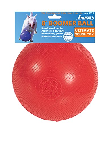 The Company of Animals - Boomer Ball - Durable and Indestructible Dog Toy - X-Large